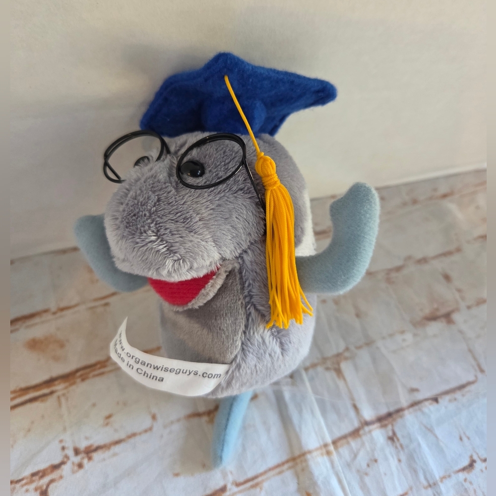 The OrganWise Guys Sir Rebrum the Brain beanbag plush toy REPLACEMENT